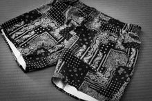 Load image into Gallery viewer, X-TRAIN NO-GI SHORTS PAISLEY